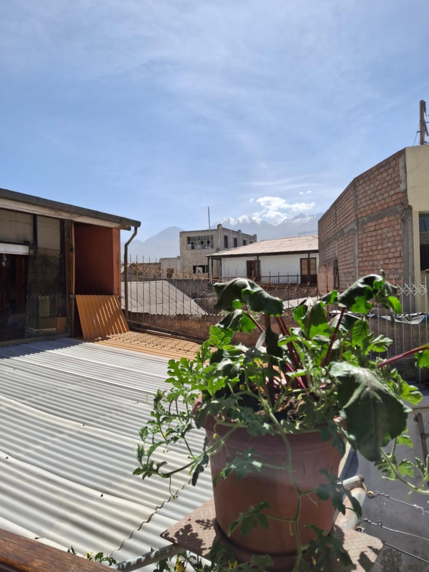 Hostal Lluvia De Oro Arequipa Exteriör bild